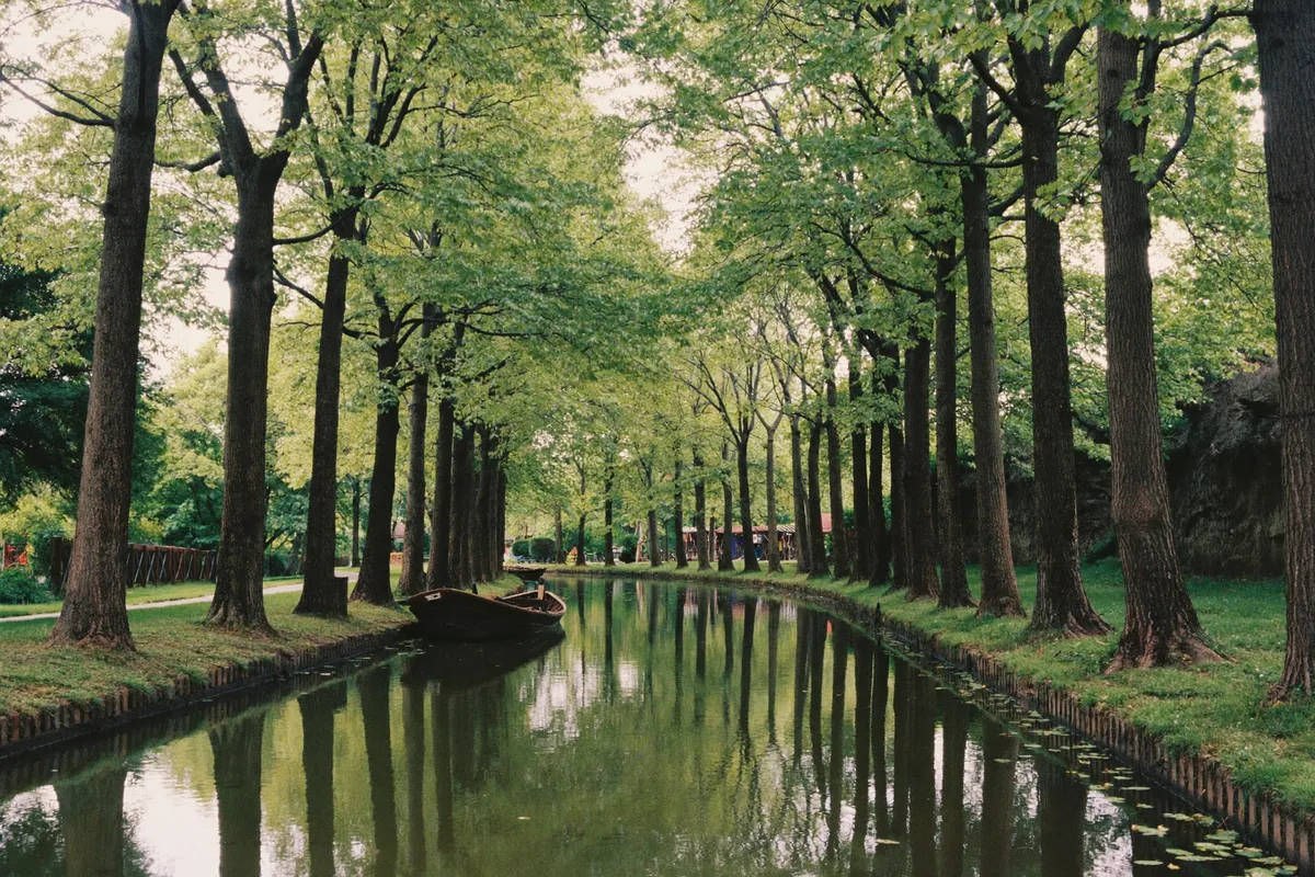 Le canal du Midi bordé de platanes à Carcassonne